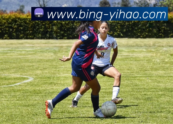 数据防护可视化